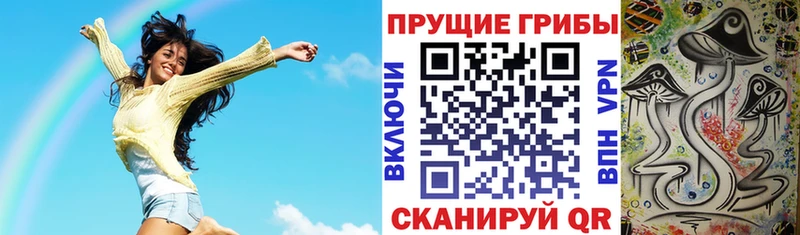 хочу   Заозёрск  Галлюциногенные грибы ЛСД 